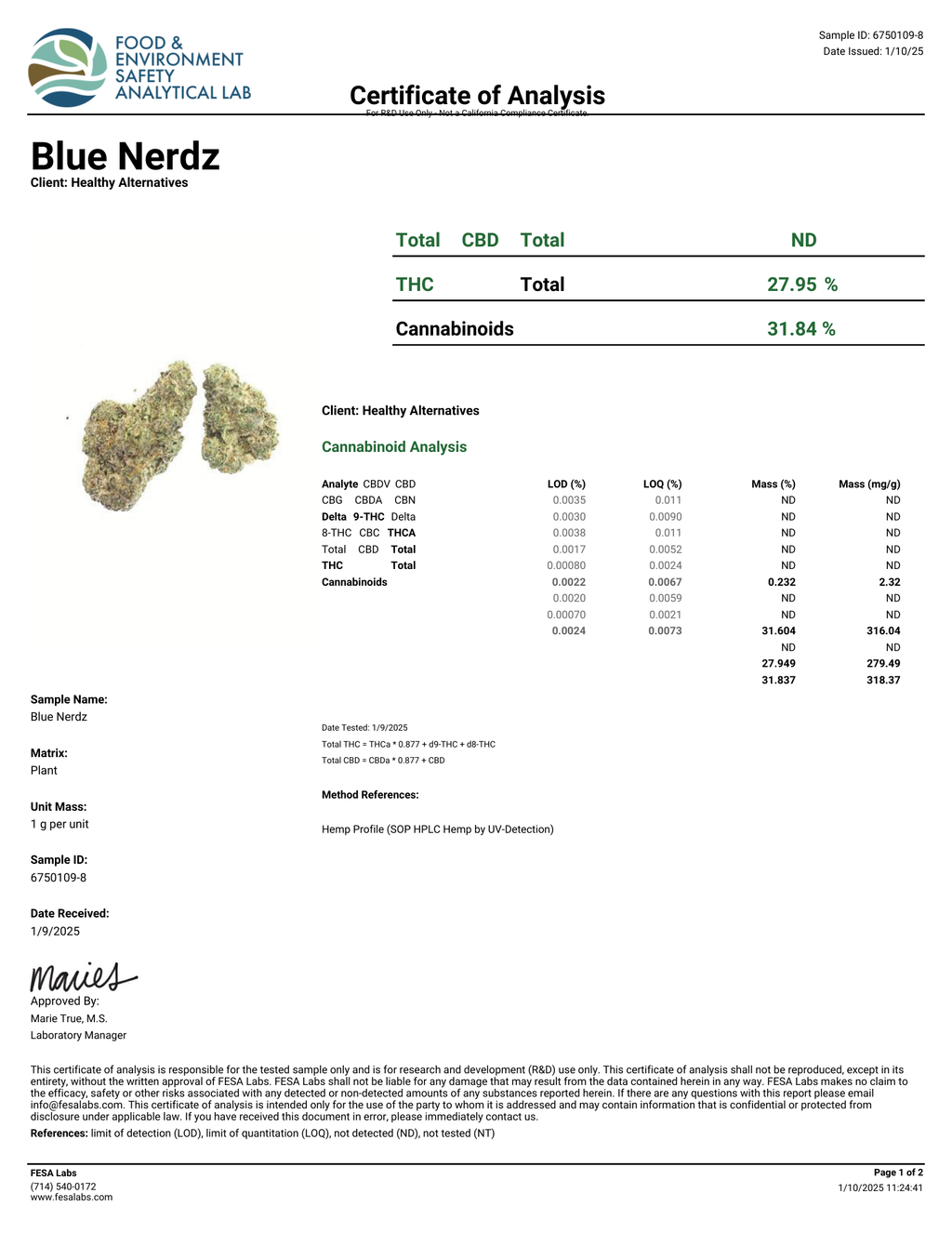 Blue Nerdz